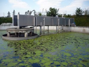 Schwimmstoffräumung