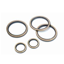 Statische Dichtungen